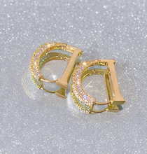 Load image into Gallery viewer, ICY ICON HOOPS
