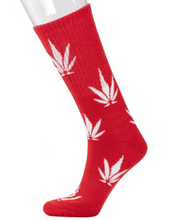 Load image into Gallery viewer, BUD LIFE - UNISEX LONG SOCKS
