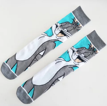 Load image into Gallery viewer, CHARACTER NOVELTY CREW SOCKS
